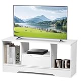 渚野生活 Nagisa テレビ台、ホワイト、シンプルデザイン、収納スペース付き