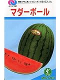 マダーボール みかど協和の小玉スイカ種です