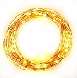 AMYHome Outdoor LED String Lights, Dimmable String Lights for Christmas Tree and House Decorations (