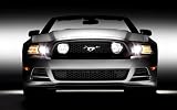 Ford Mustang 2014 18 X 24メタルアルミ壁アート