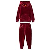 KINDOYO 秋と冬の少年少女ゴールドベルベットプラスベルベット厚いセータージャージ (100、ワインレッド 1)