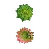 GRALARA2本入り　お買い得　人工多肉植物 　可愛い　観葉植物　インテリア　１本のグリーンクワズイモと1本のピンク エケベリア