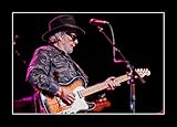8 x 10のすべての木製額入りフォトMerle Haggard In Concert