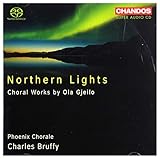 Northern Lights