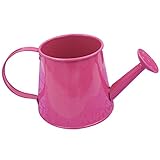 Nice Days（ナイス　ディズ）　じょうろデザイン　ミニプ植木鉢　金属植木鉢　多肉植物プランター (ピンク)