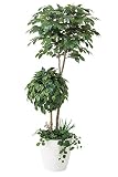 造花アート・観葉植物　ベンジャミンダブルフェイス植栽付1.8＜ 就任祝い 昇進祝い 昇任祝いに ＞