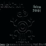 Platinum Ibiza 2001