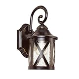 Transglobe Lighting 5129 ROB Outdoor Wall Light with Seeded Glass Shade, Rubbed Oil Bronze Finished 