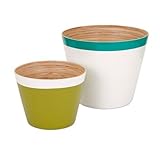 IMAX 81307-2 Jamye Bamboo Cachepot, Multicolor, Set of 2 [並行輸入品]
