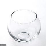 ガラスベース バブルボール SS エアプランツ 多肉植物 ティランジア ガラス