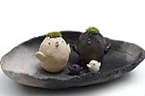 苔盆栽 モスモス モストリ夫婦 チビドリ2個 炭化焼締器セット