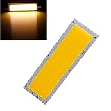 RaiFu ストリップライト バルブ 2pcs/Set 12V 10W COB LED ランプ 120x36mm 3000