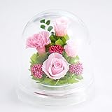 アートフォーシーズン プリザーブドフラワー 光るバラ ハーフ（ピンク）