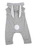 赤ちゃんの男の子の女の子の服かわいいウサギのフード付きボディースーツジッパー付き (6-12 M, A)