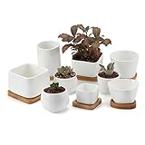 T4U 6.5/9CM 陶器ミニ植木鉢 9個セット 白 多肉植物 サボテン鉢 フラワーポット プランター容器 バンブートレイ6個付き