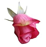 EOZY 枯れない花 造花 薔薇 プレゼント ローズ 結婚式 母の日 花嫁置物 インテリア フラワー 卓上装飾 アレンジメント 観賞植物 薔薇色