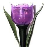 Purple Plastic Solar-Powered Tulip-Shaped Stake Lights 12 [並行輸入品]