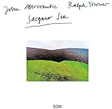 �T�[�K�b�\�[�̊C