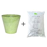 アートストーン ラウンド 27cm 【ライム】 / 培養土 & 鉢底石 付 <当店は 苗 種 鉢 培養土 ニーム の専門店>