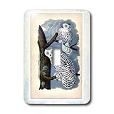 3dRose LLC lsp_37398_1 Snowy Barn Owls, Single Toggle Switch