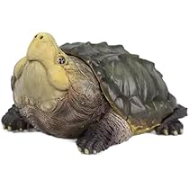 Amazon.co.jp: 【動物の惑星】ワニガメ フィギュア完成品