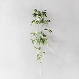 【Blooming＆me】フラワーデザイナー推薦 枯れない 高品質 上質なj葉造花 装飾 グリーン 植物 つる インテリア 2本セット [並行輸入品]