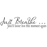 Just Breathe Quote Decors Wall Saying Decals Quote for Home Wall Stickers Nursery Decor Living Room 