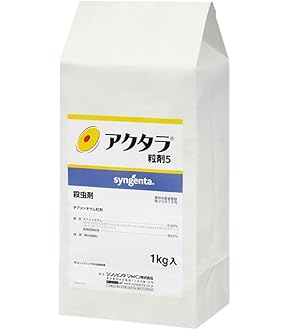 サトウくん Amazon | 【種子】 極甘キャベツ サトウくん ナント種苗のタネ