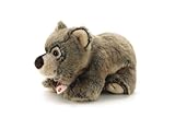 Trudi Marsican Bear Plush (26 cm, Brown) by Trudi