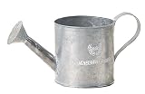 GREEN HOUSE Foret Silver Tin (シルバー) (245×105×105mm) 3392-A