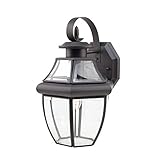 Transglobe Lighting 4310 WB Outdoor Wall Light with Beveled Glass Shade, Weathered Bronze Finished [