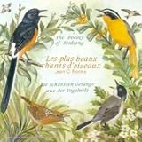 The Beauty of Birdsong