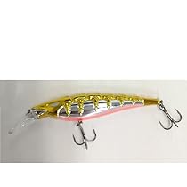 Amazon | ウォーターランド(Water Land) スケルトンミノー F #12