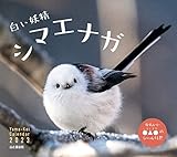 カレンダー2023 白い妖精シマエナガ (月めくり/壁掛け) (ヤマケイカレンダー2023)