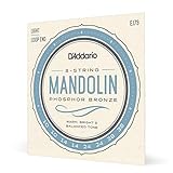 D'Addario ダダリオ マンドリン弦 フォスファーブロンズ Light .010-.038 EJ73 【国内正規品】