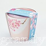 盆彩栽培セット 桜