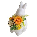 プリザーブドフラワー アミ オランジュ 3766