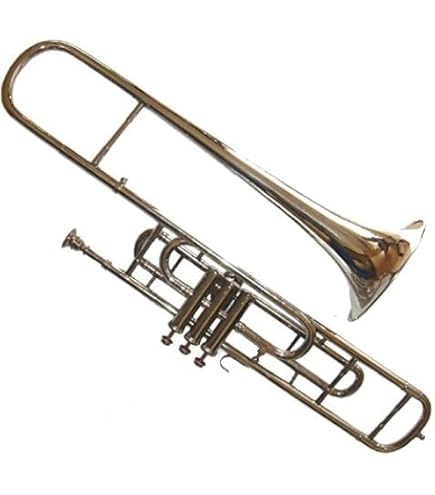 Amazon | Nasir Ali バルブ トロンボーン Bb ホワイト | トロンボーン