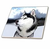3dRose ct_4438_4 Siberian Husky Ceramic Tile, 12" [並行輸入品]