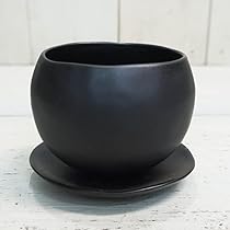 黒色多肉植物 陶器鉢入り 中型*3 Amazon.co.jp: 植木鉢 おしゃれ 陶器鉢 マリナM ＜ 胴部最大外径