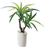 ポピー 観葉植物の造花 スリムユッカオーバルポット GLA-1224