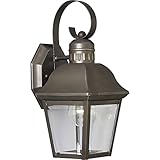 Progress Lighting P5687-20 1-Light Andover Small Wall Lantern with Solid Brass Construction, Antique
