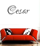 Huanyi Cesar女の子名前またはBoy名前部屋名前壁引用アートビニールデカールステッカー