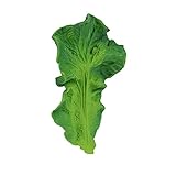 Oli & Carol オリー＆キャロル ケール葉のケンダルちゃん KENDALL THE KALE