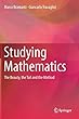 Studying Mathematics: The Beauty, the Toil and the Method