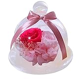 fullfunガラスロマンチックPreserved Endless Fakeバラバレンタインの日誕生日ギフト 9*8*12cm レッド