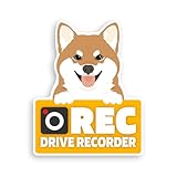 高須商店 ドライブレコーダー マグネット カーサイン ステッカー シール 車 後方 警告 録画中 犬 猫 (シュッとした柴犬 (茶))