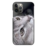 Google Pixel 4a (4G) 用 ケース ブラック カバー スマホケース スマホカバー 薄型 sc778(A) 猫 ねこ ネコ 動物 アニマル 携帯ケース 携帯カバー ハード プラ