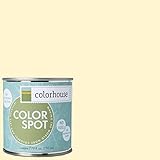 Inspired Eggshell Interior Colorspot Paint Sample, Air .04, 8-oz [並行輸入品]
