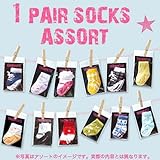 TRUMPETTE　SOCKS　ONE－PAIR　アソート TRUMPETTE　SOCKS　ONE－PAIR　アソート 【12点】